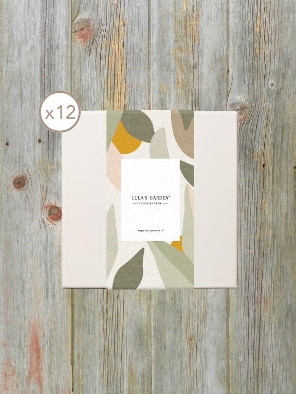 LULAS GARDEN URBAN SLEEVE - LULAS GARDEN